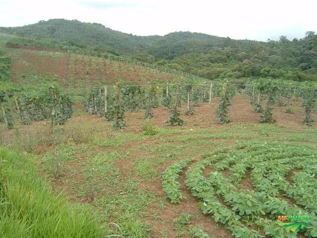 Fazenda em Guapiara - SP