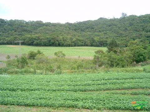 Fazenda em Guapiara - SP