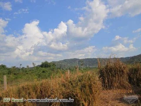 Fazenda em sao felix do Xingu