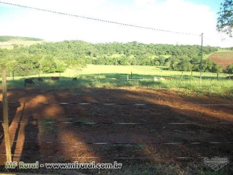 Sitio de 8 hectares duas casa novas piquetes criação de ovinos,córrego