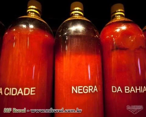 Azeite de Dende , direto da Costa do Dende ilheus - Bahia