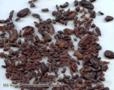 Nibes de cacau Imagem Nibes de cacau