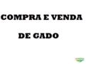 Compra e venda de gado no interior do Maranhão