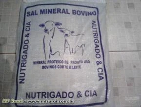 Sal Mineral