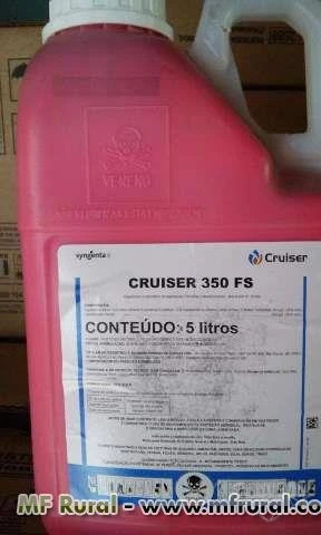 CRUISER 350 FS
