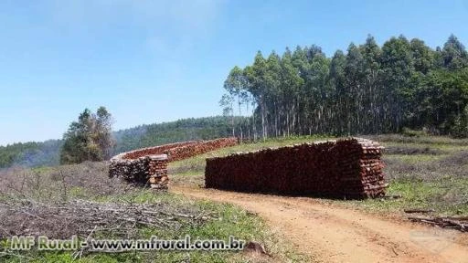 Postes, Caibros, Lenhas, Madeira Roliça, Madeira Tratada, Escoras, Lenha Eucalipto, Lenha Acácia