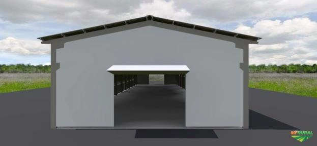 Bezerros anelorados Imagem Bezerros anelorados