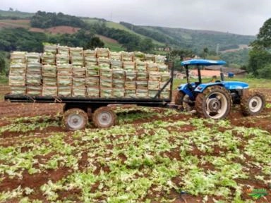 CARRETA AGRÍCOLA Imagem CARRETA AGRÍCOLA