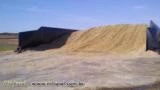 Silagem de milho (Silo 250 toneladas fechado)