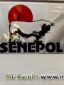 TOUROS PO E PC SENEPOL Imagem TOUROS PO E PC SENEPOL