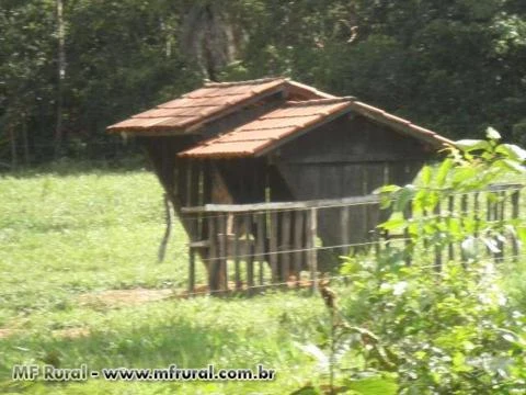 Fazenda Goias