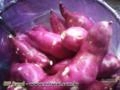Batata doce Imagem Batata doce