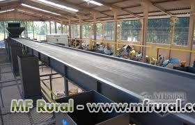 Imagem Esteiras transportadoras ,rosca sem fim ,chupim ,mesa de capatação ,esteiras esp Imagem Esteiras transportadoras ,rosca sem fim ,chupim ,mesa de capatação ,esteiras esp