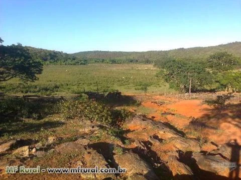Fazenda Água Limpa-Minas Gerais
