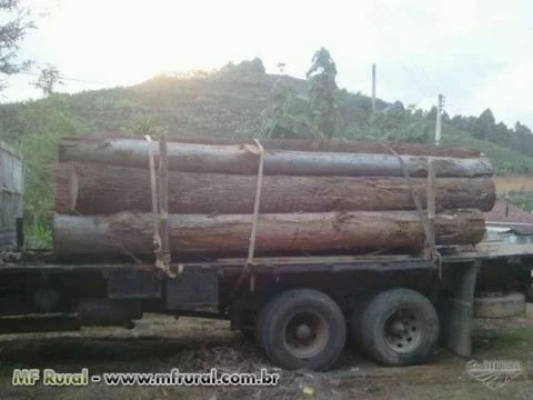 Madeira para Telhado e construção civil Imagem Madeira para Telhado e construção civil