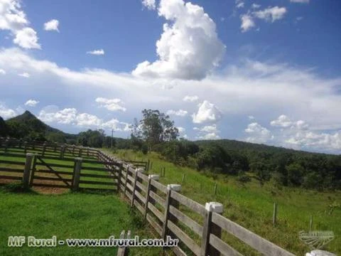 Fazendas a venda Alto Araguaia - MT