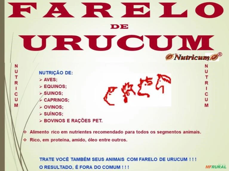 FARELO DE URUCUM
