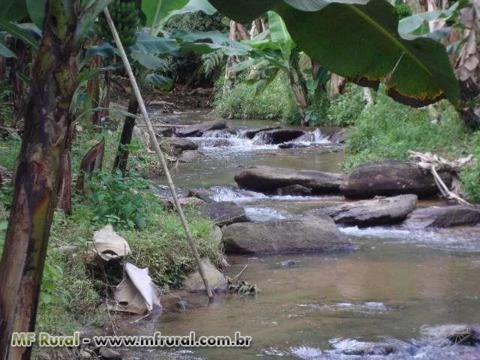 SÍTIO COM PRODUÇÃO DE BANANA, COCO VERDE E SECO