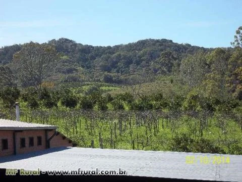 Oportunidade Única- Fábrica de bebidas com fazenda de 30ha completa