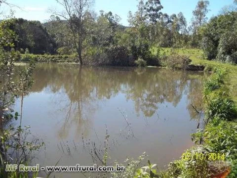 Oportunidade Única- Fábrica de bebidas com fazenda de 30ha completa