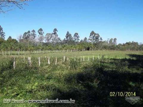 Oportunidade Única- Fábrica de bebidas com fazenda de 30ha completa