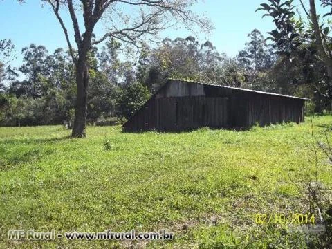 Oportunidade Única- Fábrica de bebidas com fazenda de 30ha completa