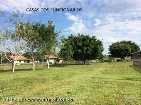 Fazenda para Pecuaria em Alto Alegre do Parecis