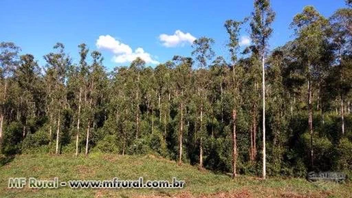 Terreno / Sítio / Propriedade Rural em Sabinópolis-MG