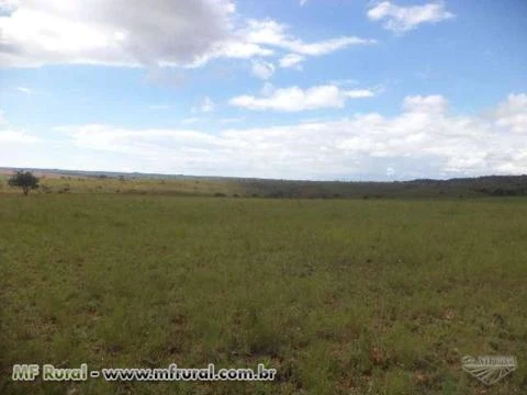 Vendo fazenda em município de Formoso/MG