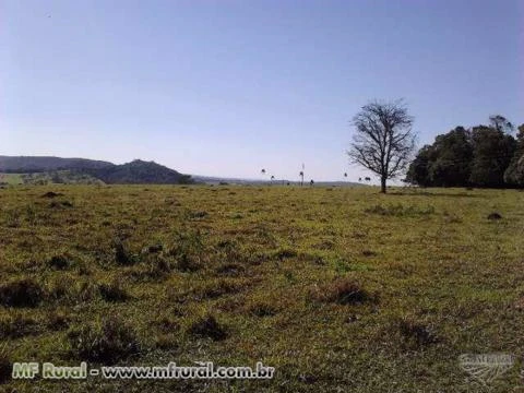 Fazenda  Baixadão - 22 alqueires em Goiânia - Go