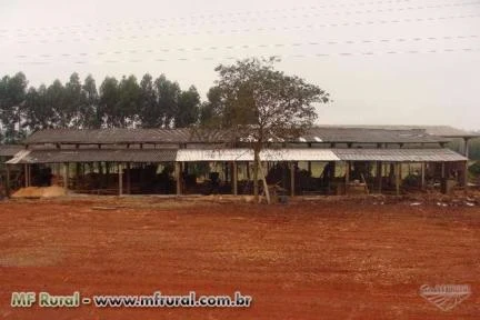 Terreno área de proximo a rodovia