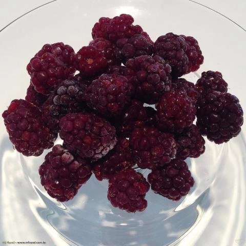 Imagem FRUTAS VERMELHAS CONGELADAS Imagem FRUTAS VERMELHAS CONGELADAS