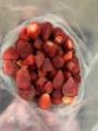 Morangos Congelados Direto do Produtor Imagem Morangos Congelados Direto do Produtor