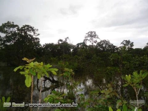 Exelente terreno para diversos segmentos agropecuários no sul do Tocantins