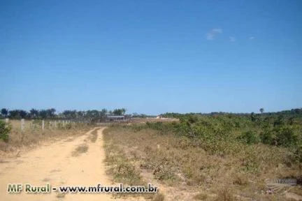 Fazenda em Roraima