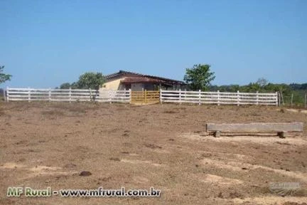 Fazenda em Roraima