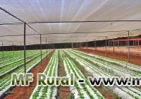 Tela Alface/ Tela Agrícola FreshNet  35% 50% 65% /  Sombrite  Agrícola 35% 50% 65% 80%