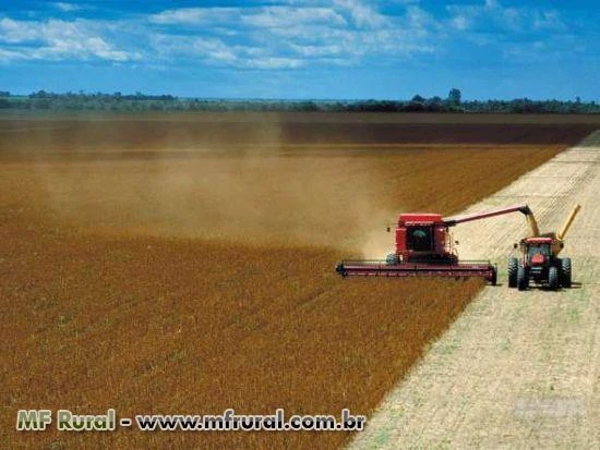 Fazenda Tocantins, 250 km de Luis Ed. Magalhães, 12.000 ha, Geo referenciada