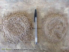 Granulado branco para sementes de pastagens