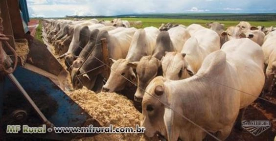 Imagem UREIA PECUÁRIA Imagem UREIA PECUÁRIA