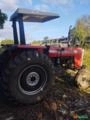 Trator Massey Ferguson 275 Imagem Trator Massey Ferguson 275