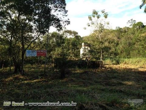 Fazenda em Morretes - Pr (336 ha - 140 Alq