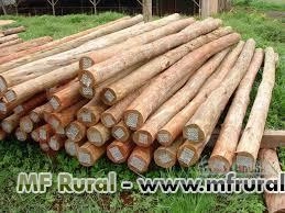 EUCALIPTO TRATADO EM AUTOCLAVE Imagem EUCALIPTO TRATADO EM AUTOCLAVE