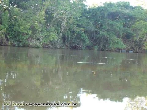 Vende-se 6 lotes a beira do Rio da Mortes na cidade de Nova Nazaré
