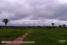 Fazenda com melhor beneficio pecuária ou agropecuaria