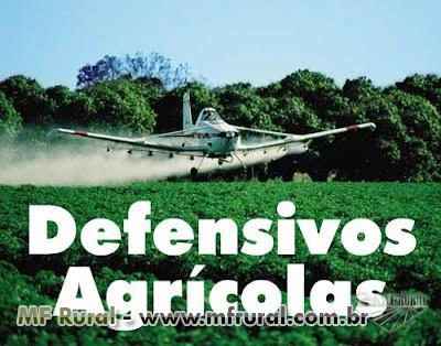 Defensivos Agricolas REGENT 800 WG