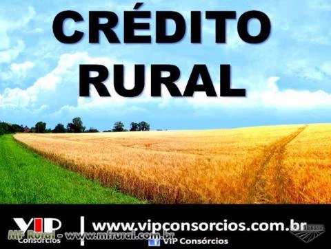 Crédito Rural - Confira Já !!!