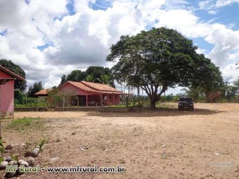 Fazenda de 224 alqueires com 214 formado em Seringueiras Rondônia