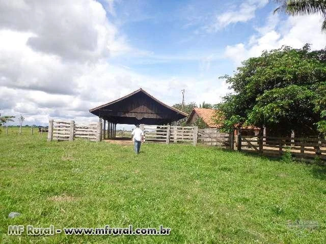 Fazenda de 224 alqueires com 214 formado em Seringueiras Rondônia