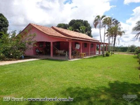 Fazenda de 224 alqueires com 214 formado em Seringueiras Rondônia